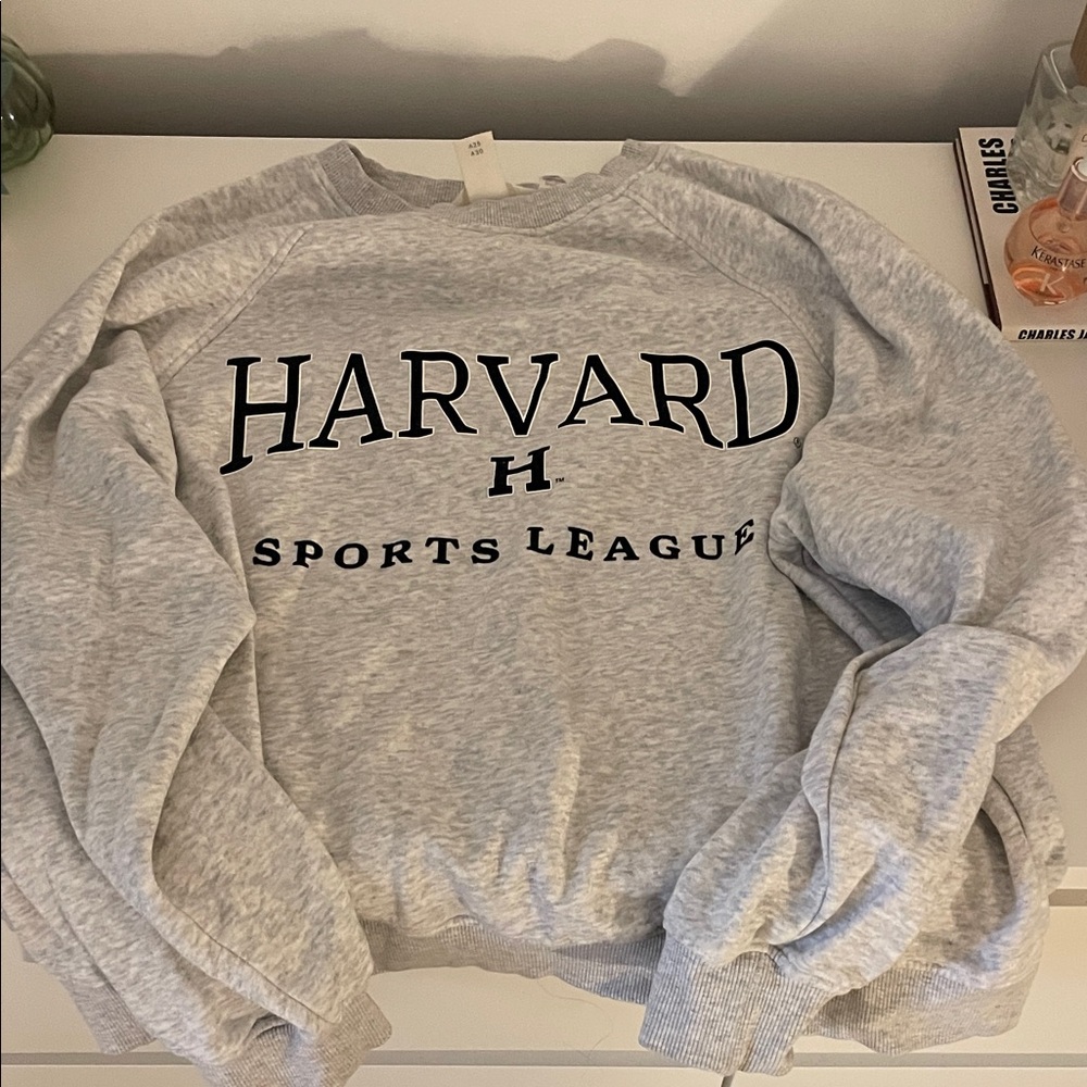 H&M Harvard Gray Sweatshirt